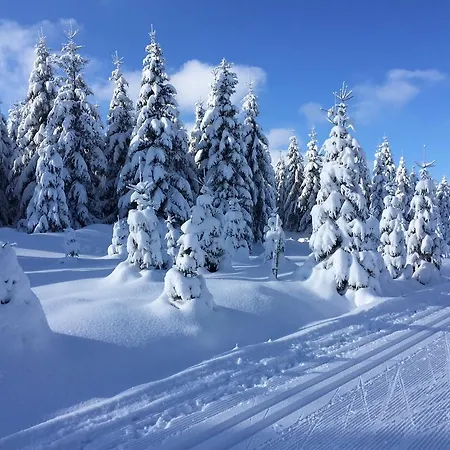 Privat Pohoda 3* Paseky nad Jizerou