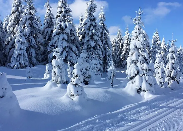 Privat Pohoda 3* Paseky nad Jizerou